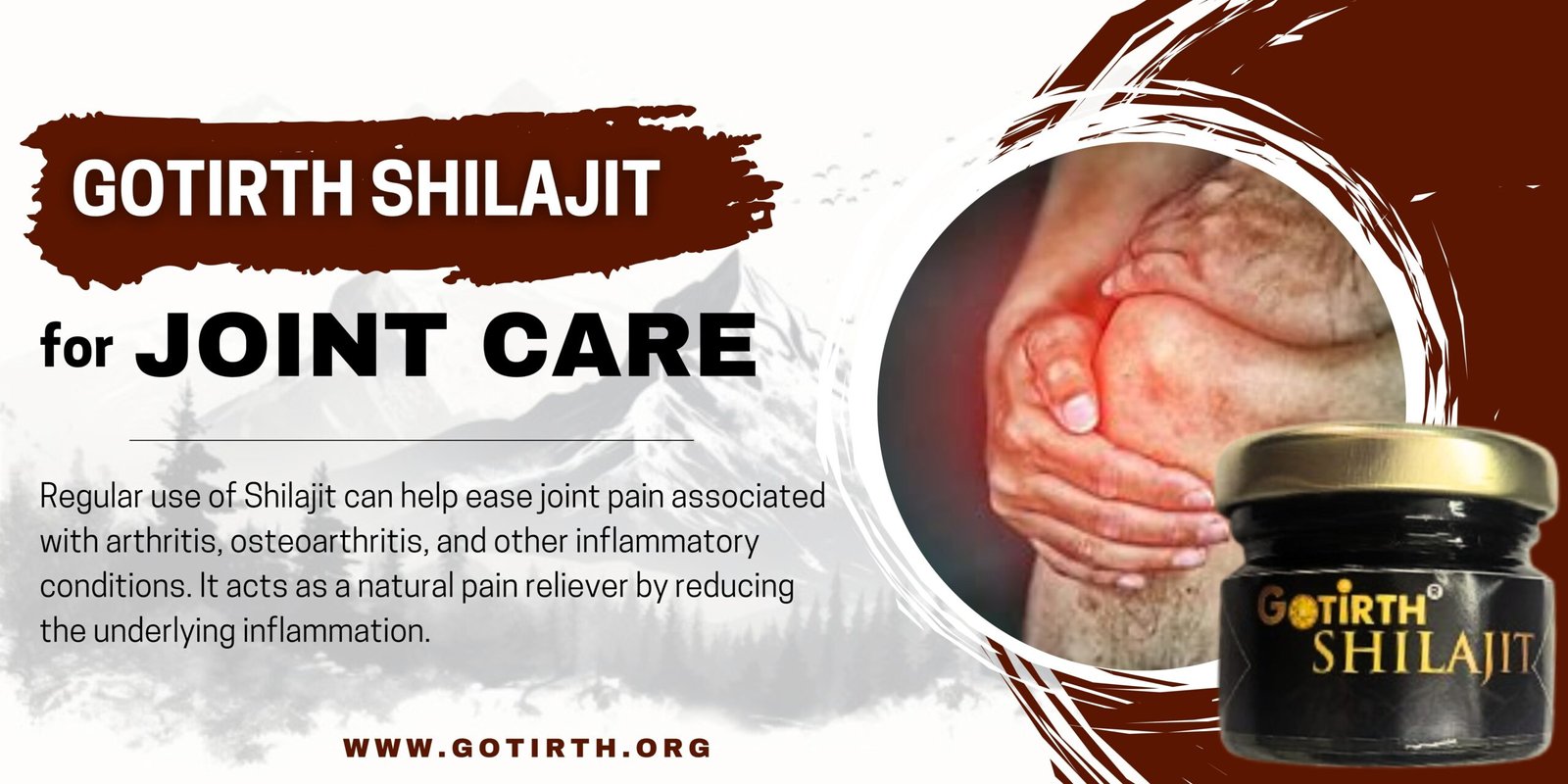 |gotirth shilajit for joint care