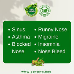 Nasya Treatment in Ayurveda - Gotirth Nasorine Ayurvedic Nasal Drops for Blocked Nose, Sinusitis