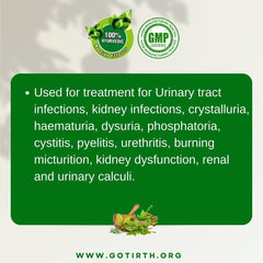 Ayurvedic Medicine for Urinary Infection - Gotirth V.D. Guard