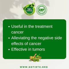 Ayurvedic Medicine for Cancer, Cyst, Lipoma, Tumor - Gotirth Carcinex Tablets