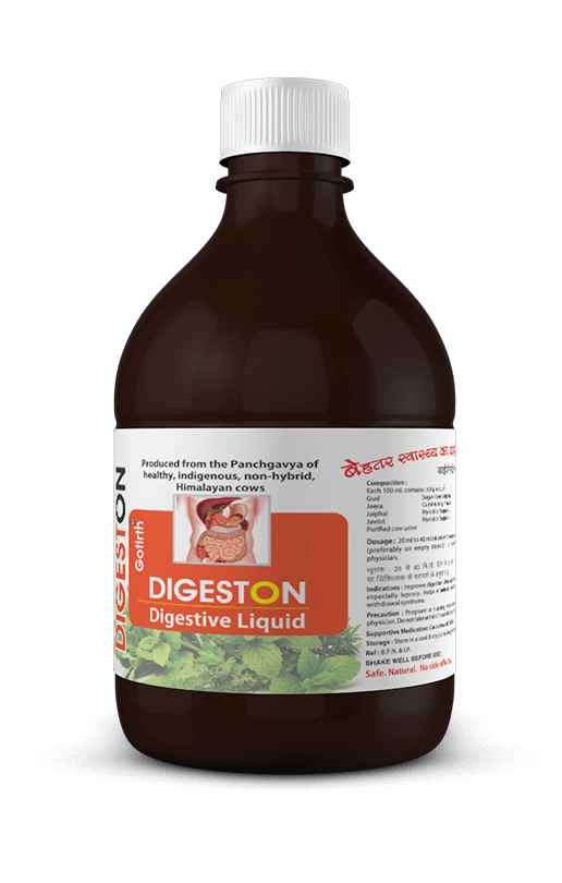 Digeston