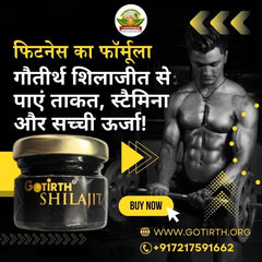 Gotirth Shilajit | 100% Pure Himalayan | Immunity Booster